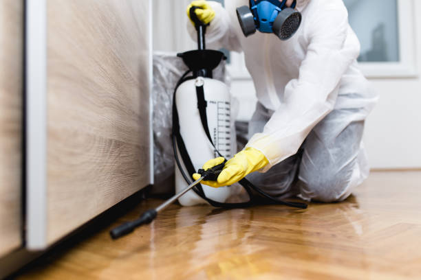 Best Pest Removal Services  in Leisuretowne, NJ
