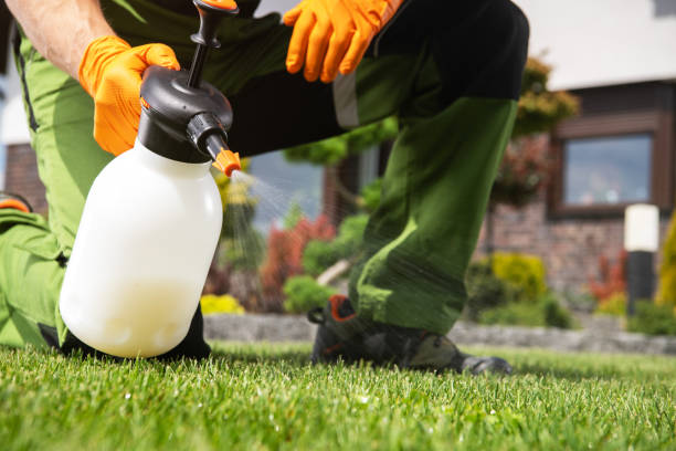 Best Residential Pest Control  in Leisuretowne, NJ