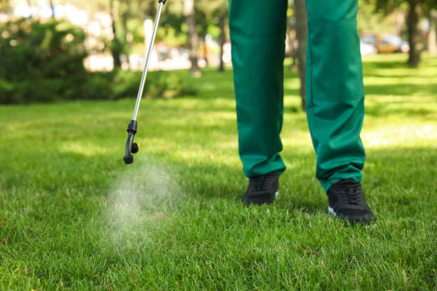 Best Pest Removal Services  in Leisuretowne, NJ