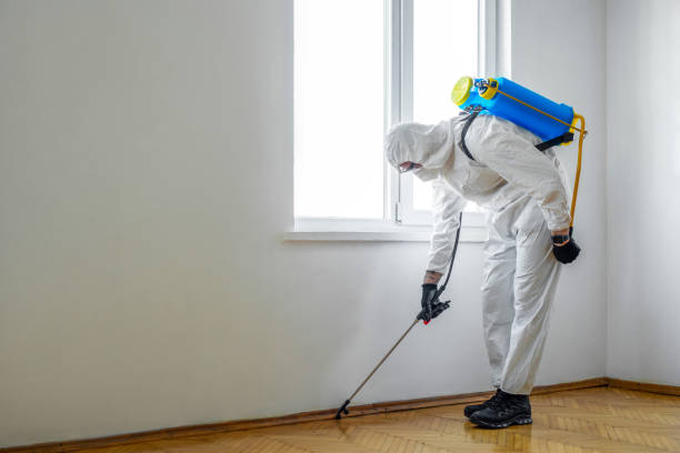 Best Wasp Removal Services  in Leisuretowne, NJ