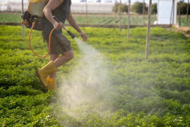 Best Affordable Exterminators  in Leisuretowne, NJ