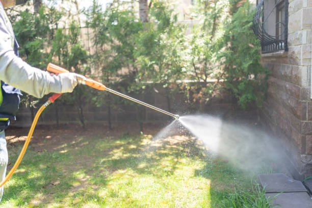 Best Mosquito Control Services  in Leisuretowne, NJ