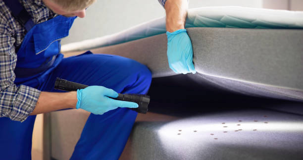 Best Cockroach Control Services  in Leisuretowne, NJ