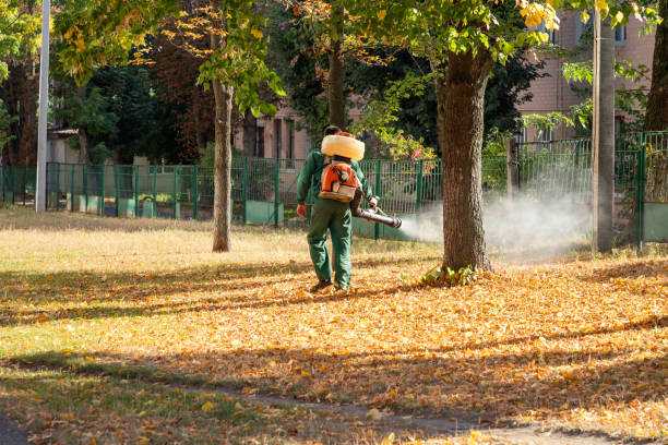 Best Insect Control  in Leisuretowne, NJ